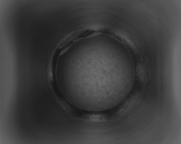 X0000100890400200806241236