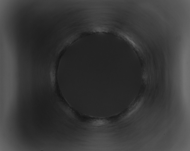 X0000100890402200806241236