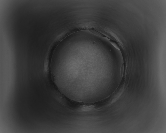 X0000100890403200806241236