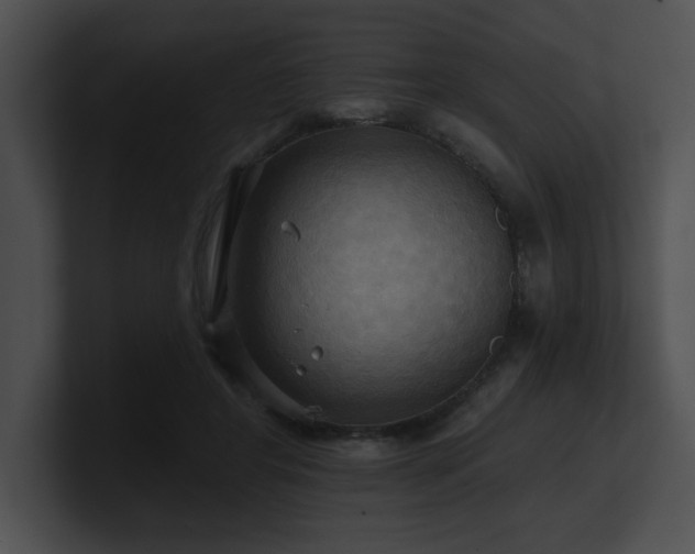 X0000100890404200806241235