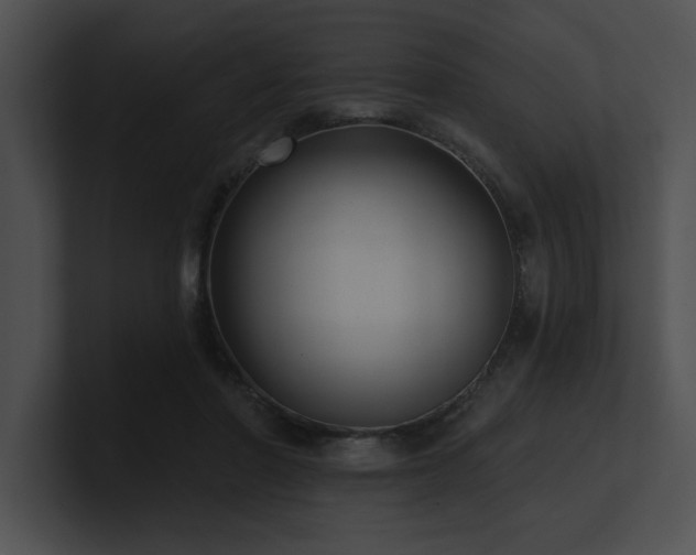 X0000100890406200806241235