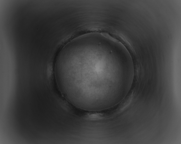 X0000100890407200806241235