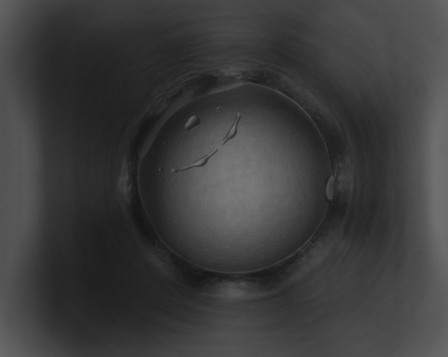 X0000100890408200806241235