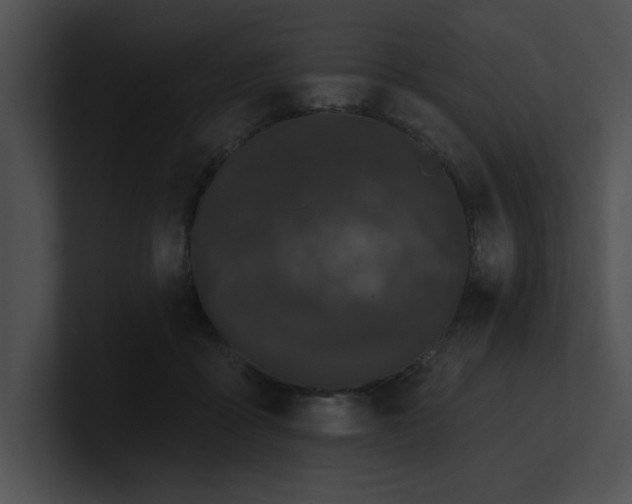 X0000100890411200806241235