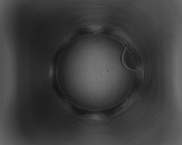 X0000100890412200806241235