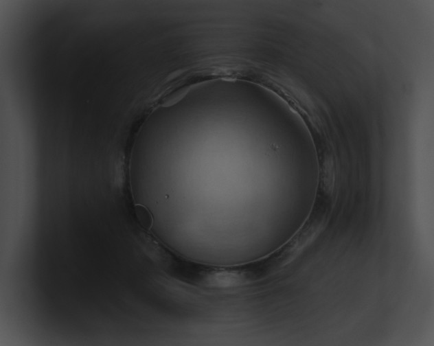 X0000100890413200806241235