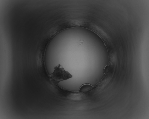 X0000100890414200806241235
