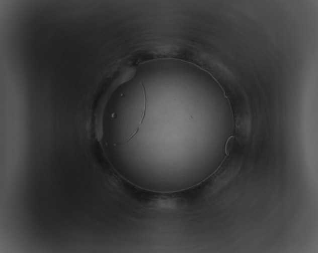 X0000100890416200806241235