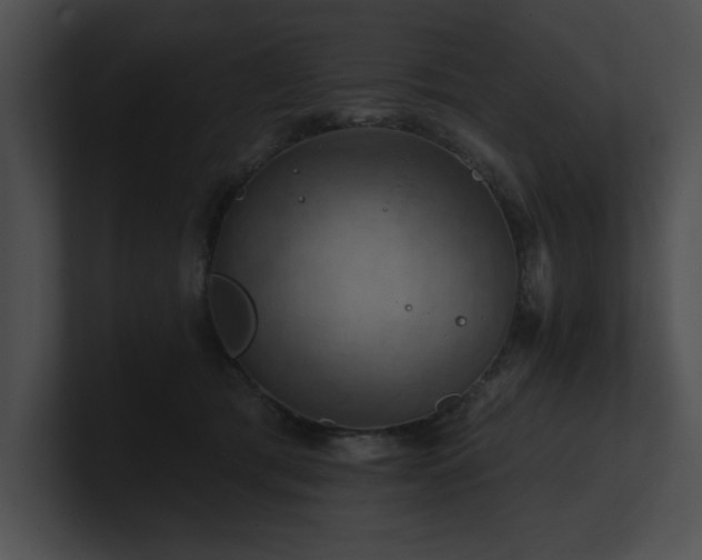 X0000100890417200806241235