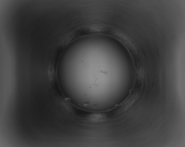 X0000100890418200806241235