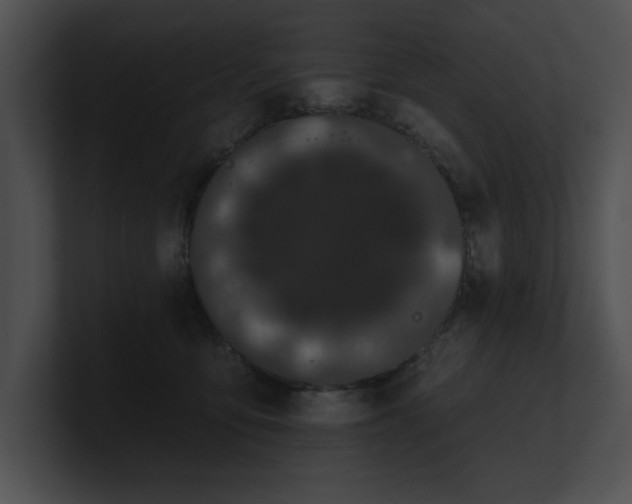 X0000100890419200806241235