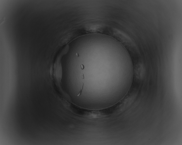 X0000100890420200806241235