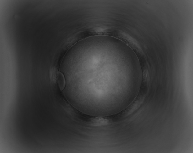 X0000100890421200806241235