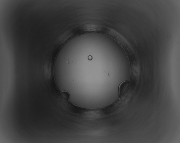 X0000100890422200806241235