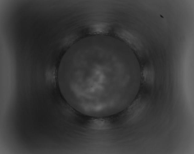 X0000100890423200806241235