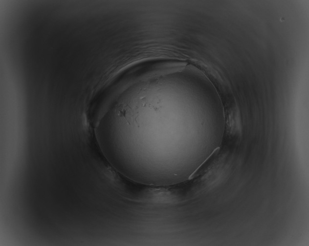 X0000100890424200806241235