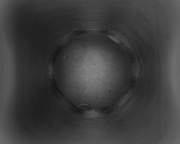 X0000100890425200806241235