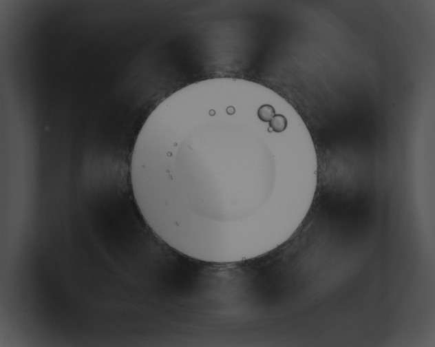 X0000100890427200806241235