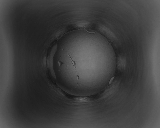 X0000100890428200806241235