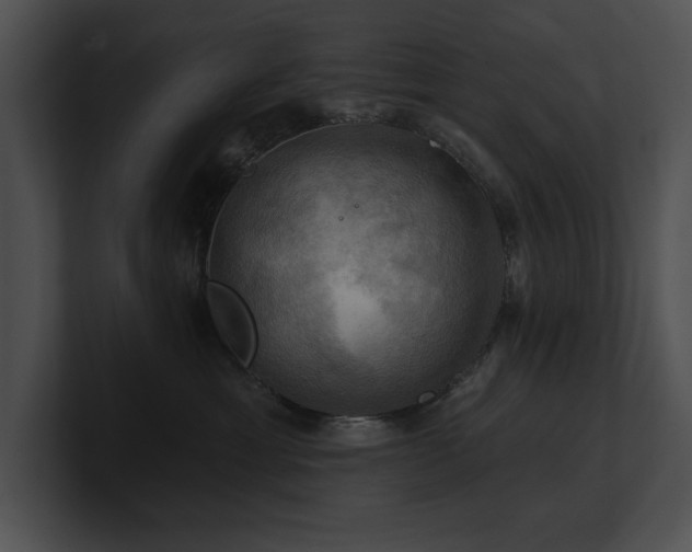 X0000100890429200806241235