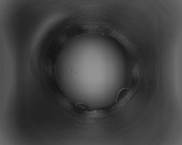 X0000100890430200806241235