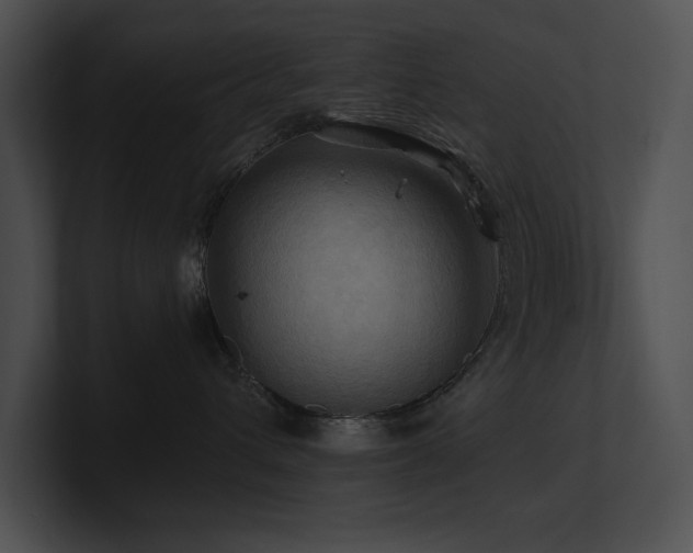 X0000100890432200806241235