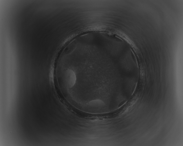 X0000100890434200806241234