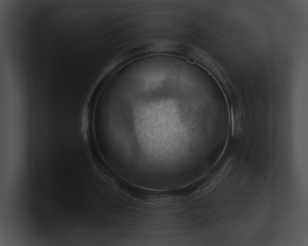 X0000100890435200806241234
