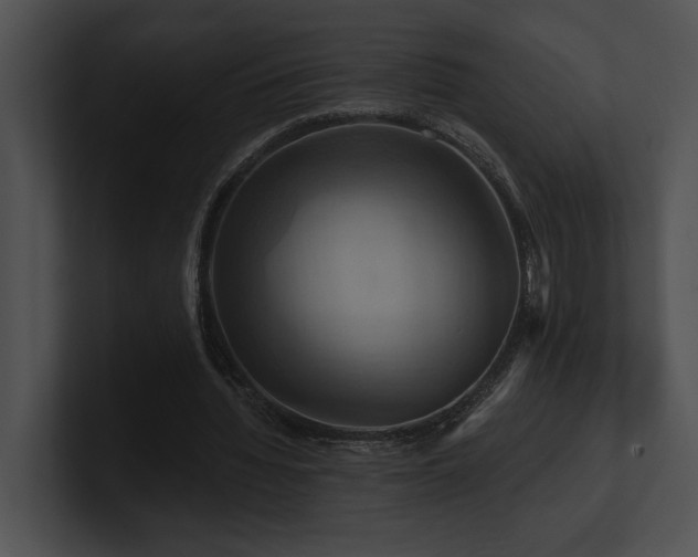 X0000100890436200806241234