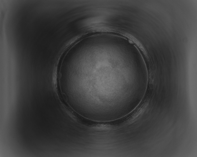 X0000100890437200806241235