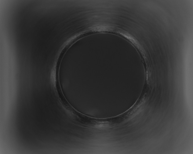 X0000100890438200806241235