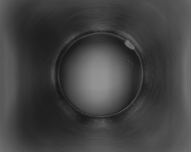 X0000100890439200806241235