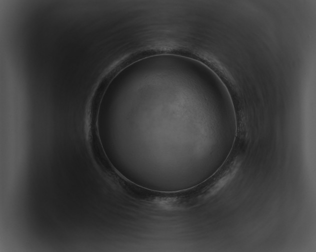 X0000100890440200806241235
