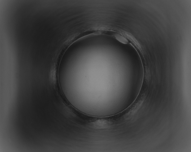 X0000100890441200806241235