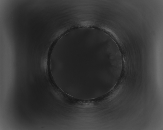 X0000100890443200806241235