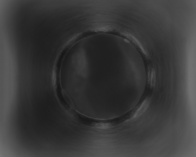 X0000100890444200806241235