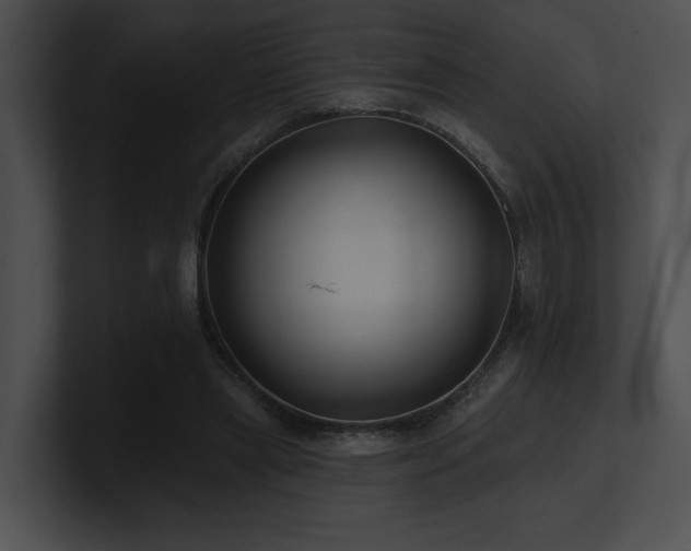 X0000100890445200806241235
