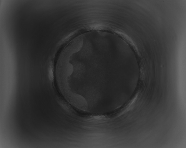 X0000100890446200806241235