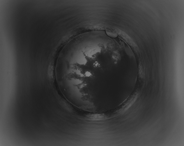 X0000100890449200806241235