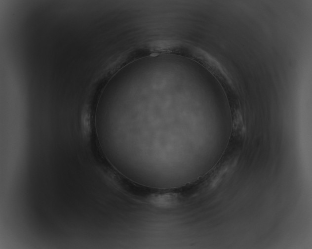 X0000100890452200806241235