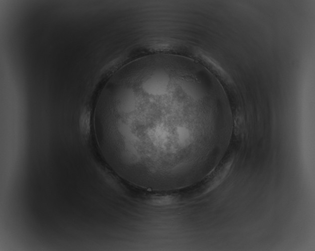 X0000100890454200806241235