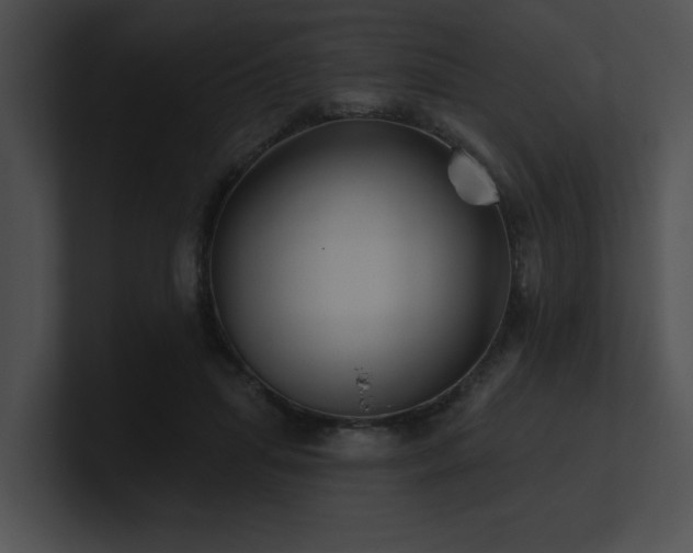 X0000100890455200806241235