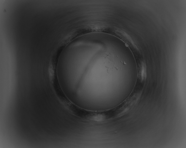 X0000100890456200806241235