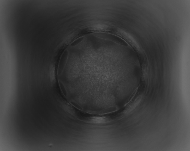 X0000100890457200806241235