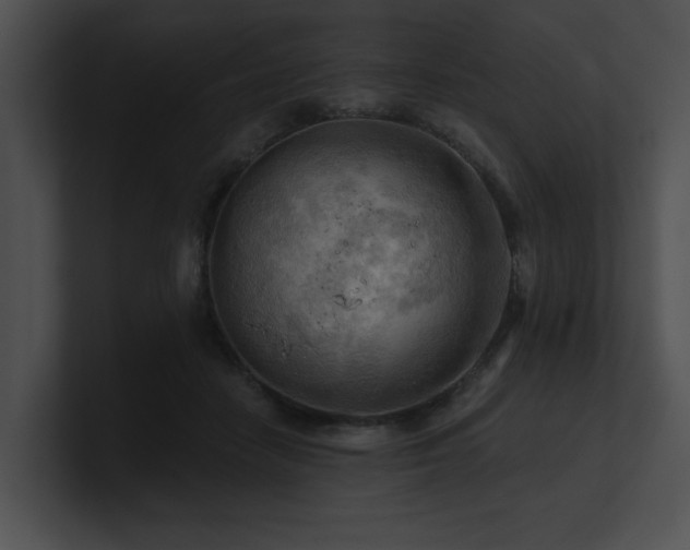X0000100890458200806241235