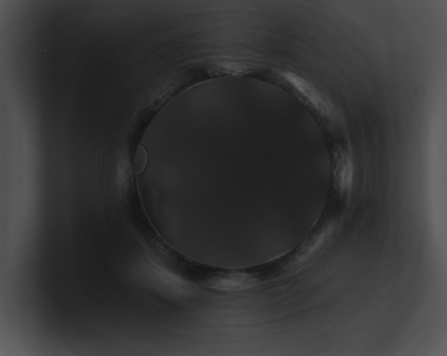 X0000100890459200806241235