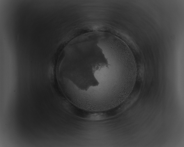 X0000100890461200806241235