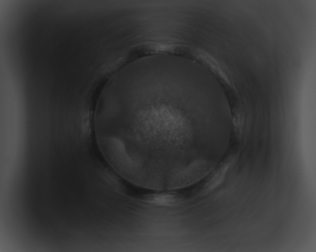 X0000100890462200806241235