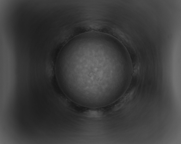 X0000100890464200806241235
