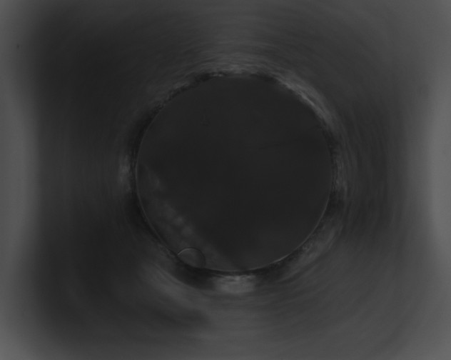 X0000100890465200806241235